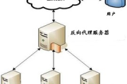 免费代理服务器网站,高效隐私保护解决方案解析