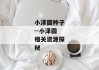 小泽圆种子--小泽圆相关资源探秘