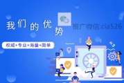 专业互联网推广引流公司,提升品牌影响力-策略与实践解析