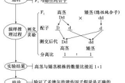 脸瘦身体胖的原因与解决方案解析