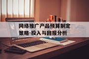 网络推广产品预算制定策略-投入与回报分析