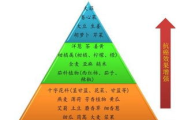 一天三餐不吃,真的能瘦身吗-饮食与健康解析