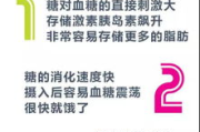 生吃萝卜减肥瘦身,天然健康的选择-萝卜减肥法解析