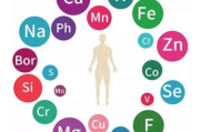 微量元素瘦身,科学依据与实际效果解析