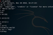Python菜鸟教程,从零开始掌握Python编程-入门到实践解析