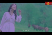 月光视频在线观看免费播放-高清流畅体验解析