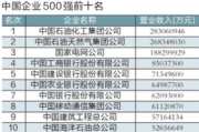 2024中国企业500强榜单解析-企业实力与行业洞察