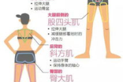 瘦身姿势选择与效果分析-健康瘦身指南
