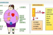 减肥瘦身茶副作用及其安全性解析