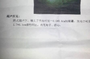 谢桥流产原因解析与预防策略