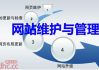 专业网站维护公司及其服务介绍-行业佼佼者一览