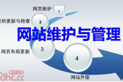 专业网站维护公司及其服务介绍-行业佼佼者一览