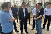 东莞网站建设方案优化-提升用户体验与搜索排名