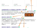 深入剖析Index搜索引擎-优化策略与性能提升解析