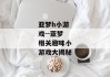 亚梦h小游戏--亚梦相关趣味小游戏大揭秘
