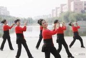 中老年广场舞视频大全,健身娱乐两不误-舞动快乐生活