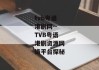 tvb粤语港剧网--TVB粤语港剧资源网络平台探秘