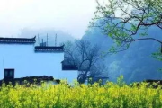 山村春情，自然之美与人文关怀-春日里的山村生活解析