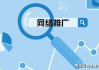 百度推广策略与实践指南-全面提高在线可见度