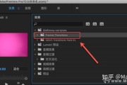 Adobe Premiere Pro软件,全方位视频编辑解决方案-功能与技巧解析