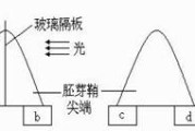 jy灌溉收集系统,农业用水高效解决方案-安装与维护详解