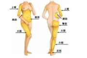苦瓜减肥瘦身产品,天然健康解决方案解析