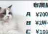 种子猫实用指南-高效搜索与安全下载解析