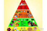 牛蒡瘦身效果解析-营养与饮食搭配