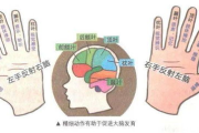 手部动作识别技术,提升SEO效果-解决方案解析