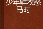 鲜衣怒马少年时,青春激情与人生理想的璀璨篇章