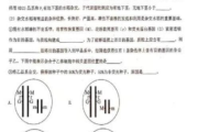 三年片免费大全,国语电影版权与分享-合法观影途径解析