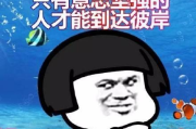 中央电视台一套节目表详析-黄金时段节目单及特色推荐