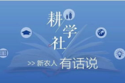 8090网,一代人的青春记忆-网站特色与服务解析