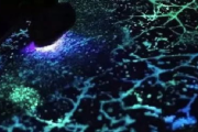 阿凡达2：探秘潘多拉星球，科幻大片的视觉盛宴-影片深度解析
