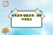 时尚服饰-潮流衣饰：演绎时尚魅力