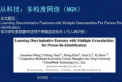 神马特片，电影爱好者的观影新选择-特辑内容解析