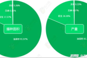 进钰服饰有限公司,时尚设计先锋-企业实力解读