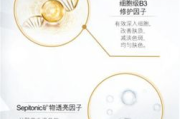 美白片,肌肤亮白新选择-成分与使用方法解析