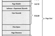 牛奶瘦身法,均衡营养-健康减肥新策略解析