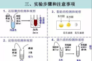 冷冻溶脂技术原理与效果解析-非手术减肥新选择
