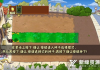 植物大战僵尸手机版下载攻略，畅享经典塔防乐趣