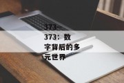 373--373：数字背后的多元世界
