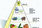 冬季瘦身秘诀，科学方法助您有效减脂-第四季瘦身攻略