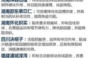 瘦身懒人贴真的有效吗-减肥神器真相探究
