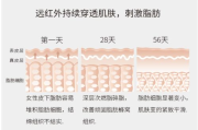 瘦身燃脂贴效果探究-揭秘瘦身燃脂贴的真相