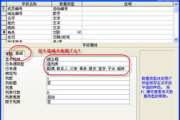 Access软件,高效数据库管理-特点与优化策略解析