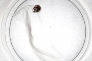 化妆品刷子彩妆技巧与选择指南-专业彩妆工具解析