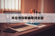 风在想你歌曲歌词全部