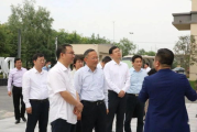 香草传媒,创意内容营销的引领者-全方位解析