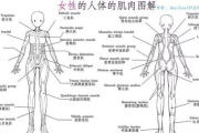 一天减肥瘦身操，轻松打造苗条身材-高效瘦身方法解析